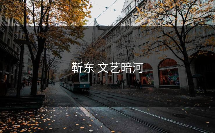 靳东 文艺暗河