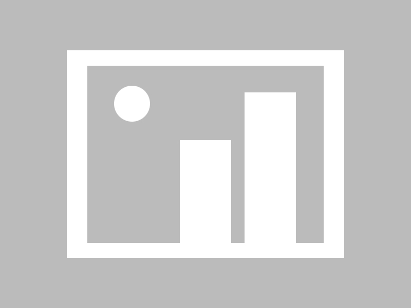 幼女资源官网ARM版