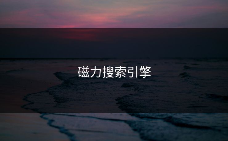 磁力搜索引擎