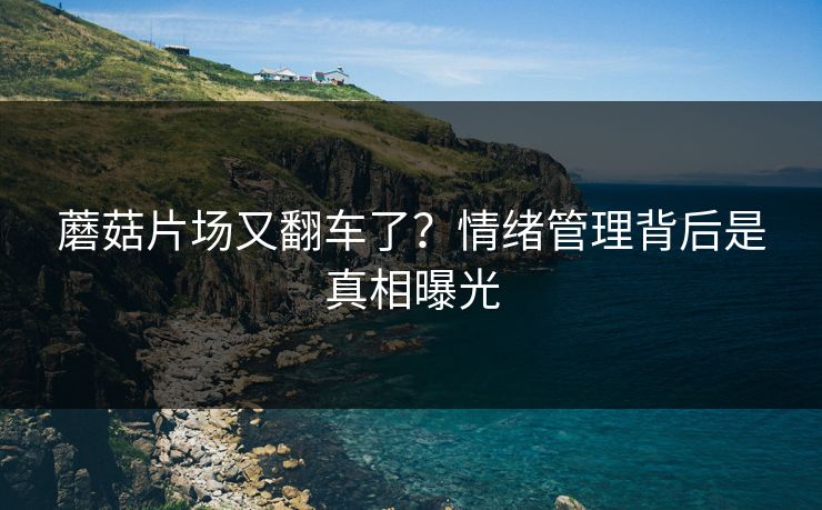 蘑菇片场又翻车了？情绪管理背后是真相曝光
