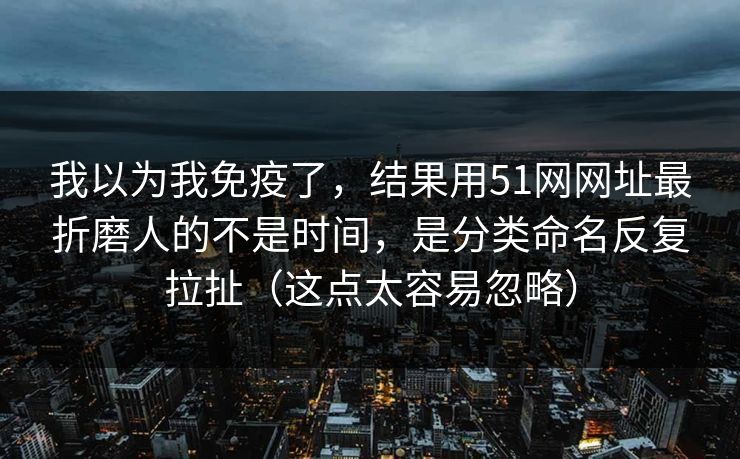 我以为我免疫了，结果用51网网址最折磨人的不是时间，是分类命名反复拉扯（这点太容易忽略）